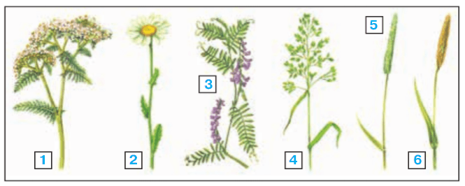 Задание рисунок 2