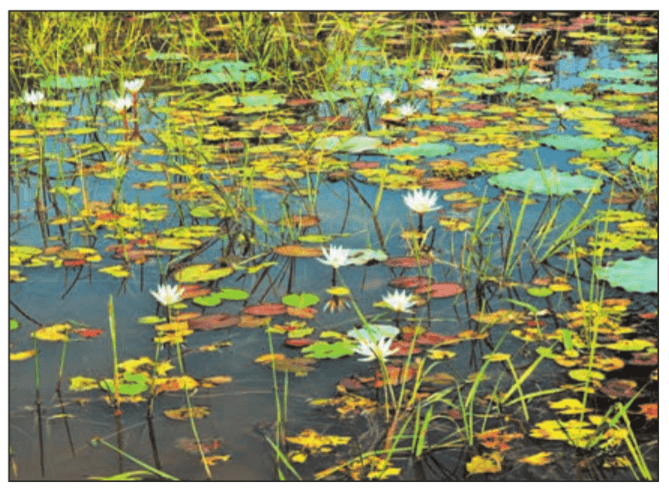 Задание рисунок 1