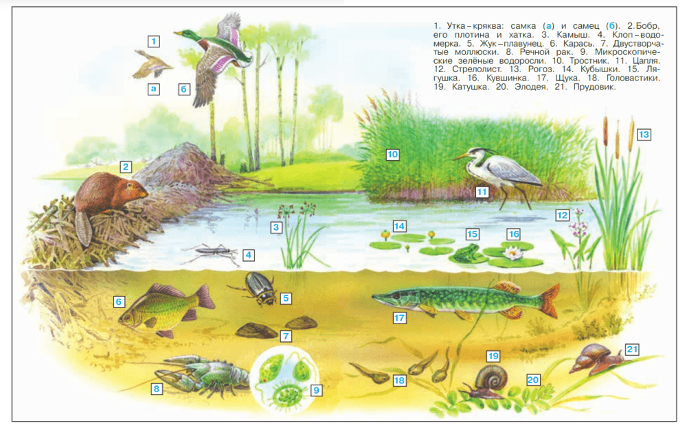Решение рисунок 2