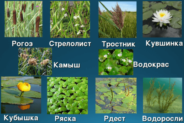 Решение рисунок 1