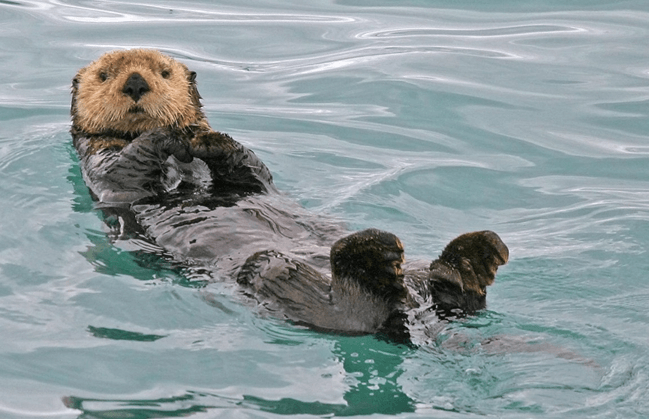 Решение рисунок 1