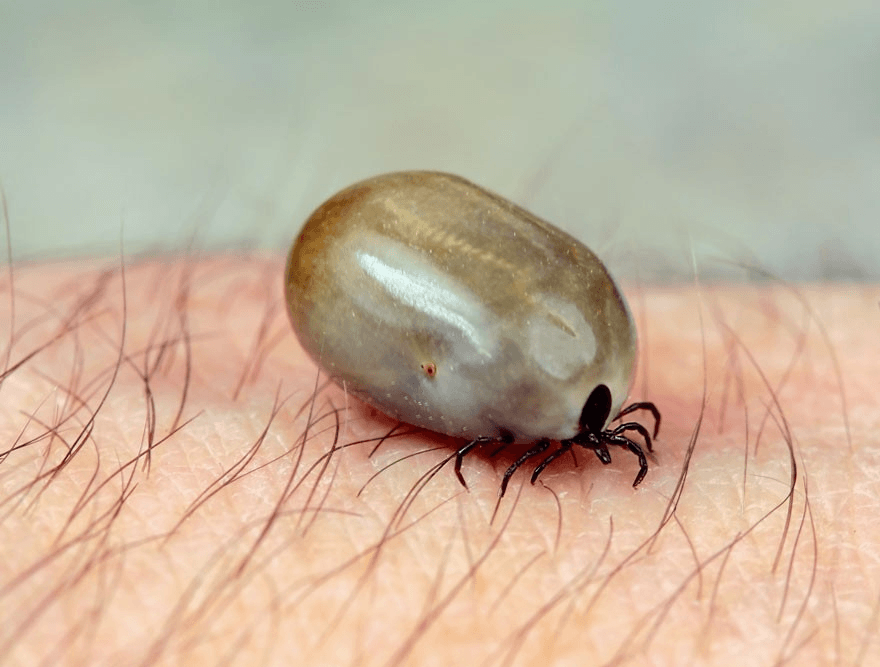 Решение рисунок 7