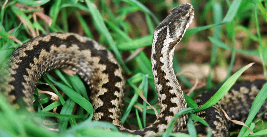 Решение рисунок 6