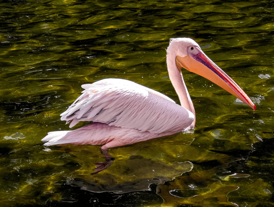 Решение рисунок 3