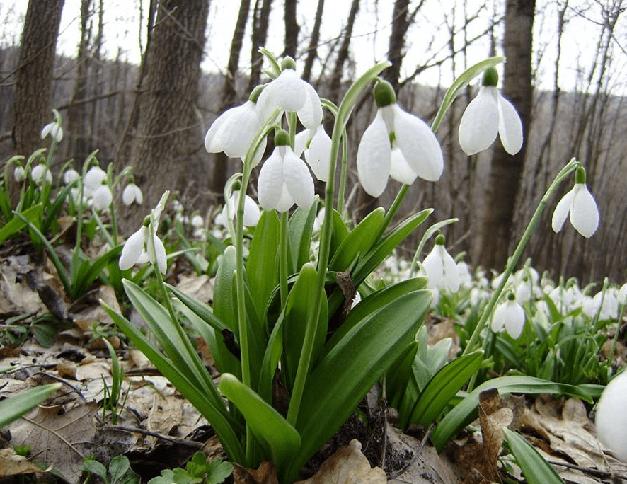 Решение рисунок 4