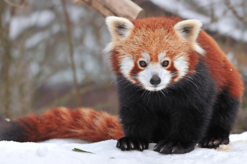 Решение рисунок 2