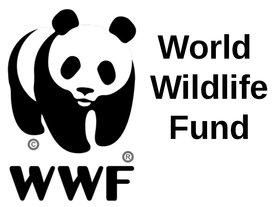 Решение рисунок 3