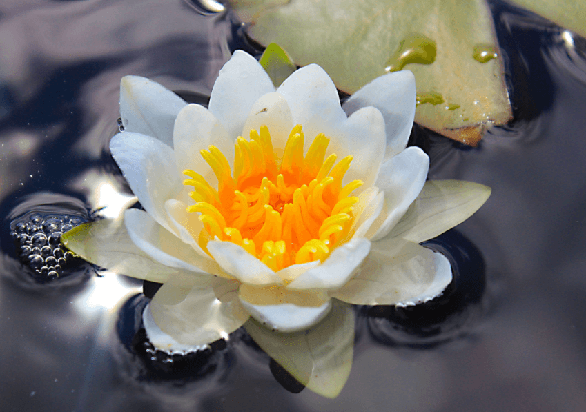 Решение рисунок 5