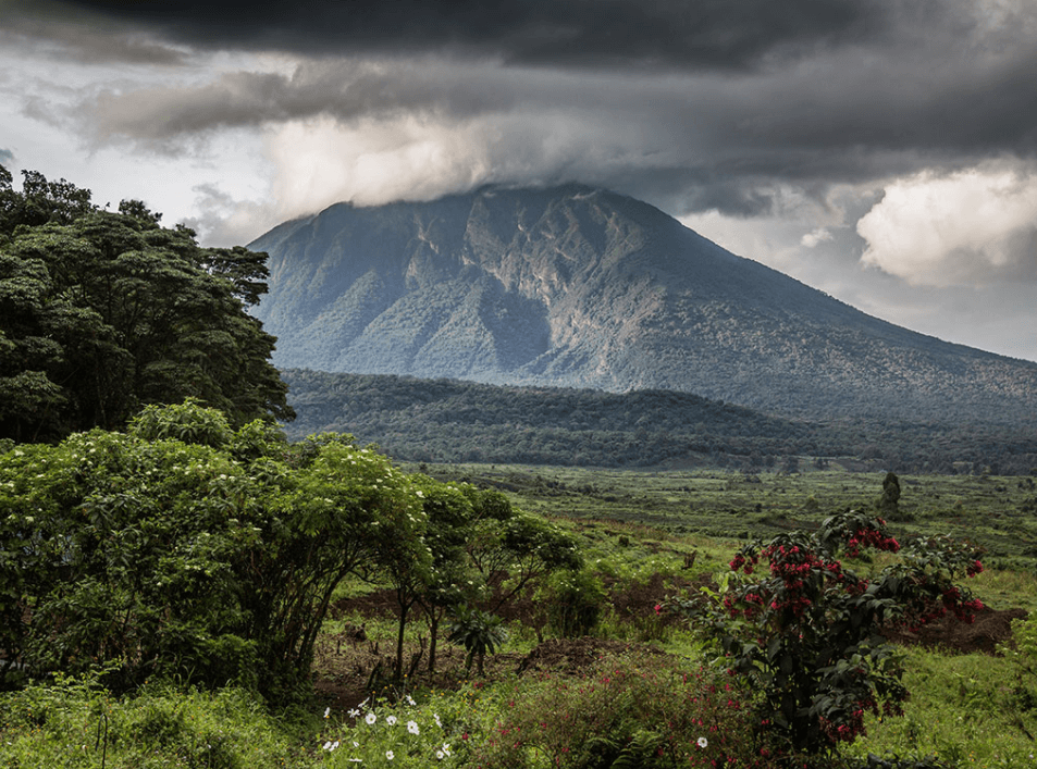 Решение рисунок 5