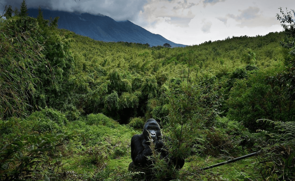 Решение рисунок 6