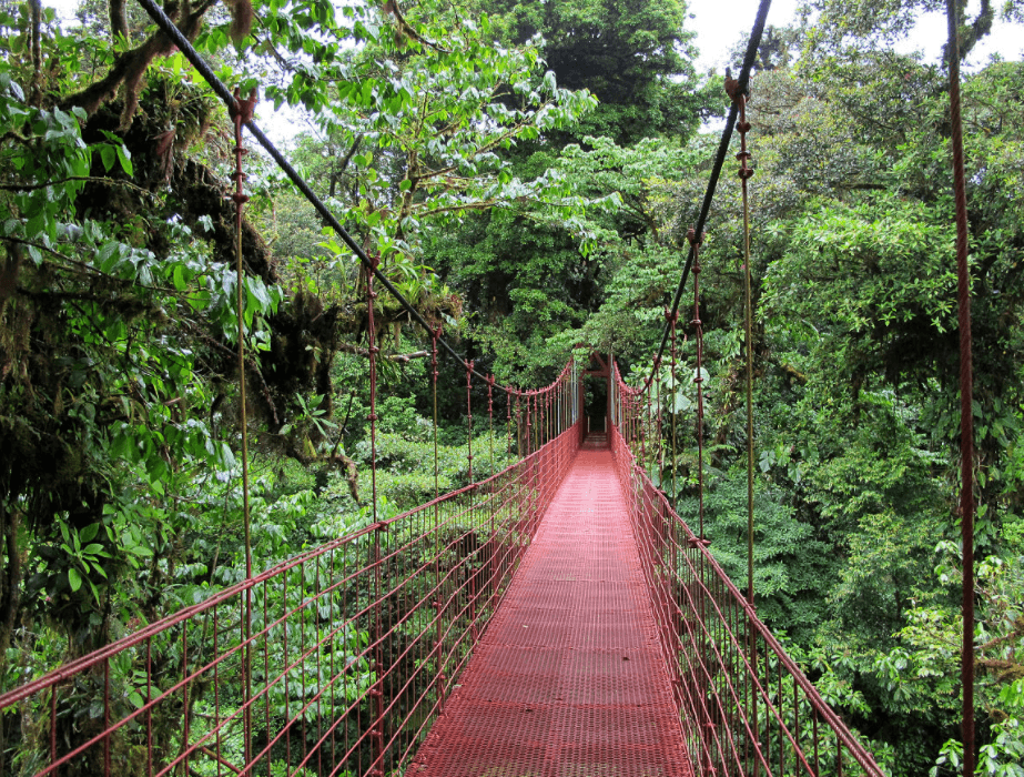 Решение рисунок 9