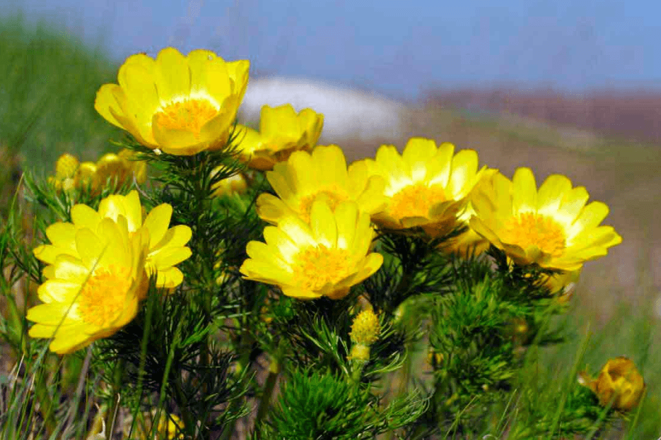 Решение рисунок 12