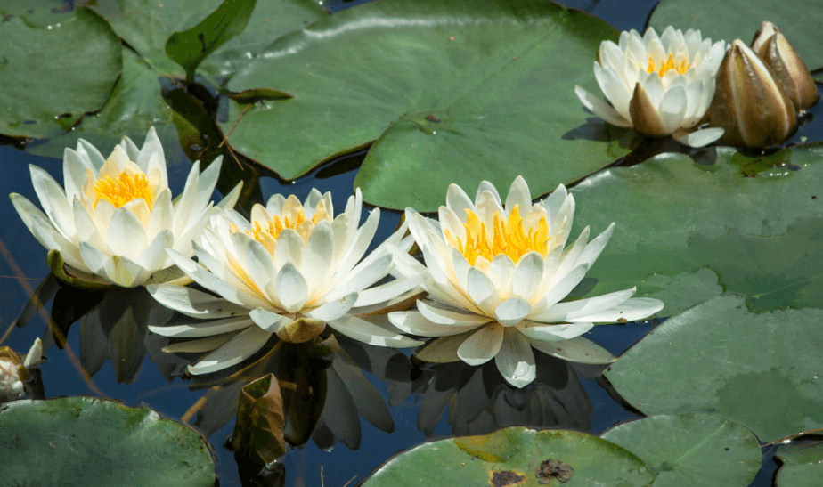 Решение рисунок 13