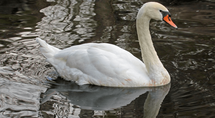 Решение рисунок 3