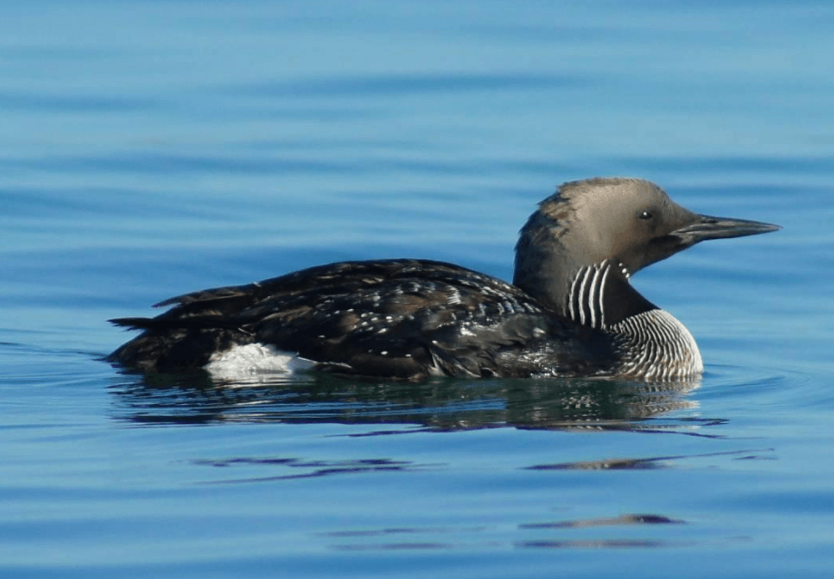 Решение рисунок 4