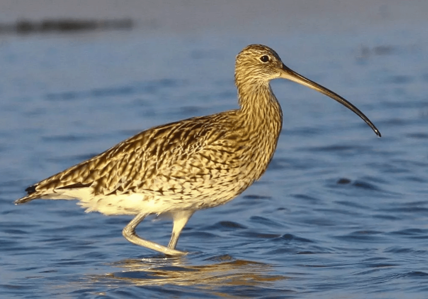 Решение рисунок 6