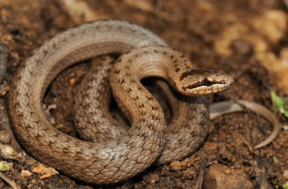 Решение рисунок 8