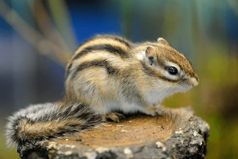 Решение рисунок 9