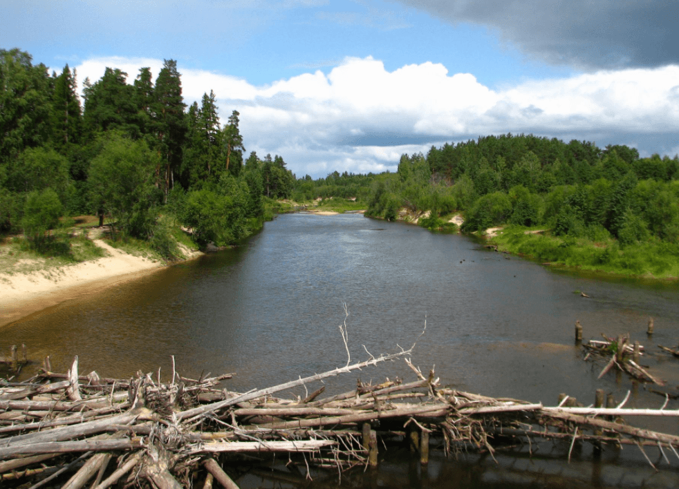 Решение рисунок 1