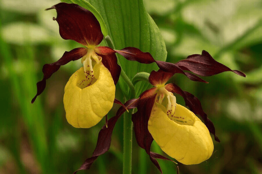 Решение рисунок 11