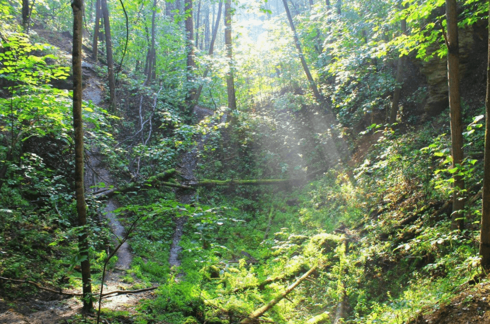 Решение рисунок 13