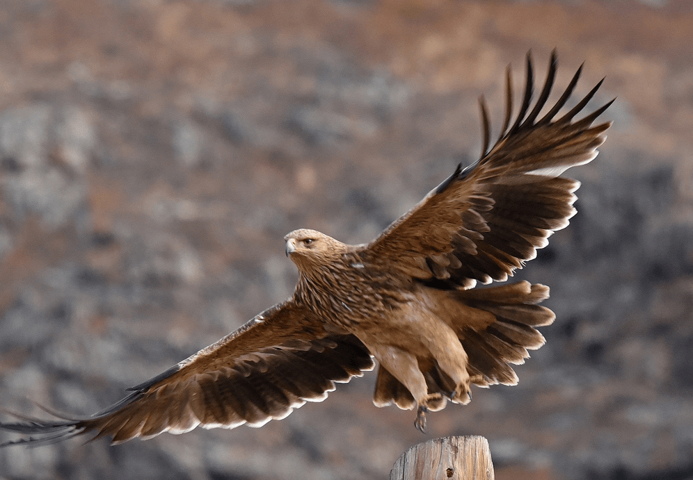 Решение рисунок 15