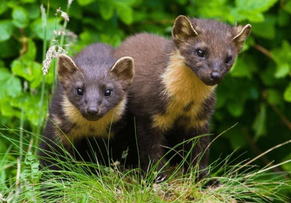 Решение рисунок 2