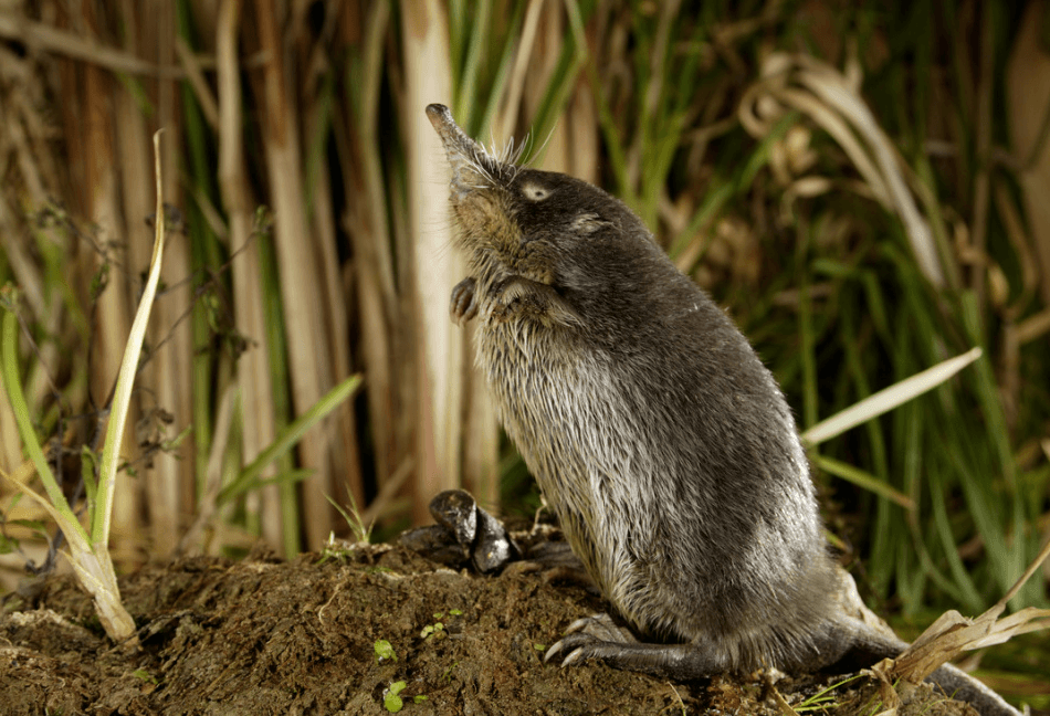 Решение рисунок 3