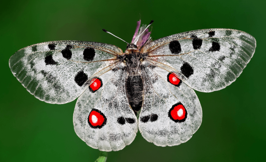 Решение рисунок 5