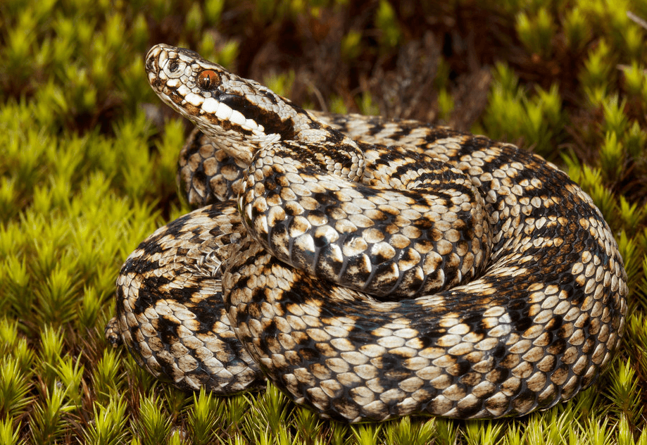 Решение рисунок 6