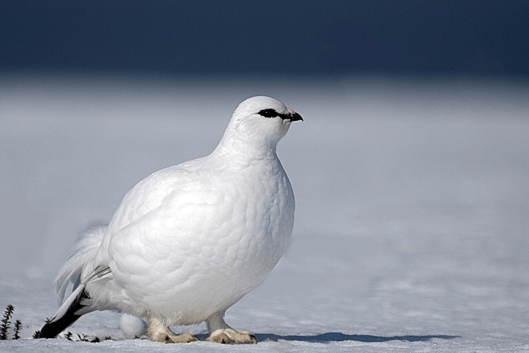 Решение рисунок 7