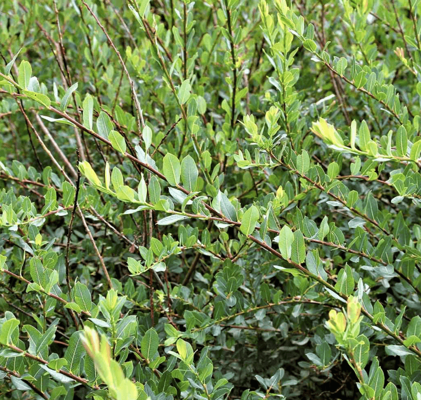 Решение рисунок 9