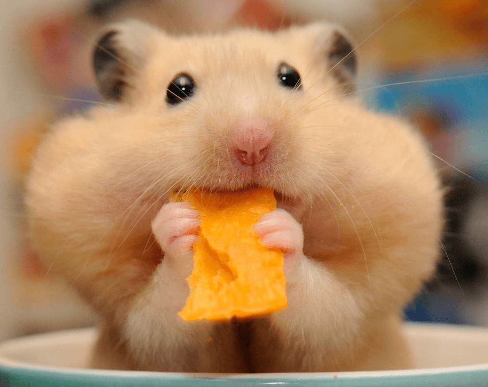 Решение рисунок 2