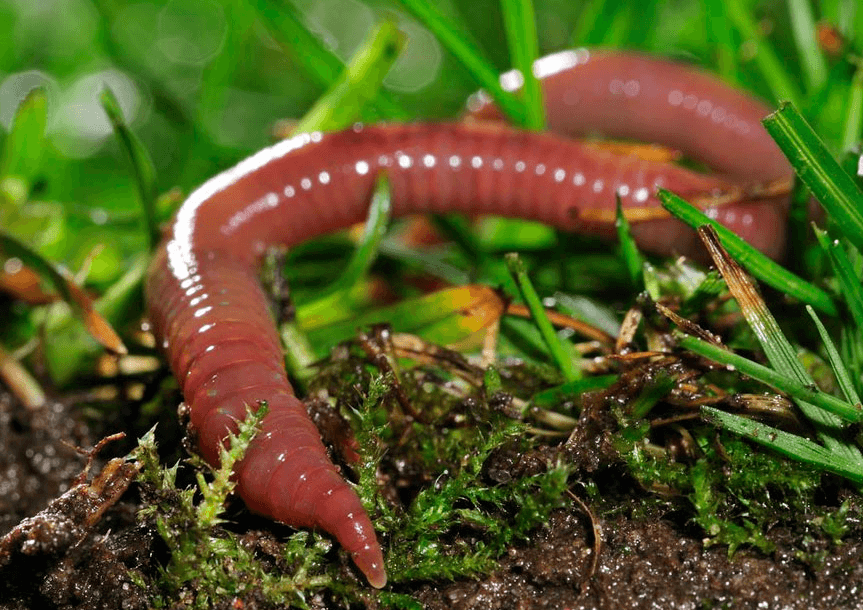 Решение рисунок 3