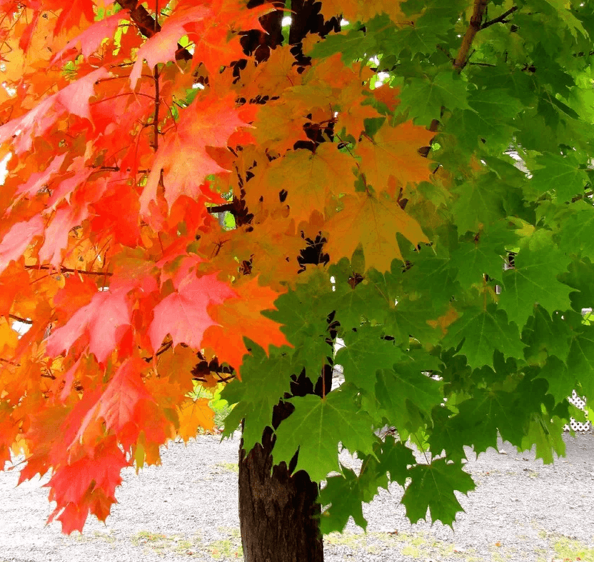 Решение рисунок 5