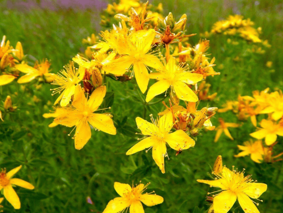 Решение рисунок 1