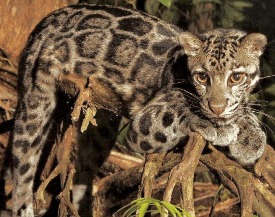 Решение рисунок 6