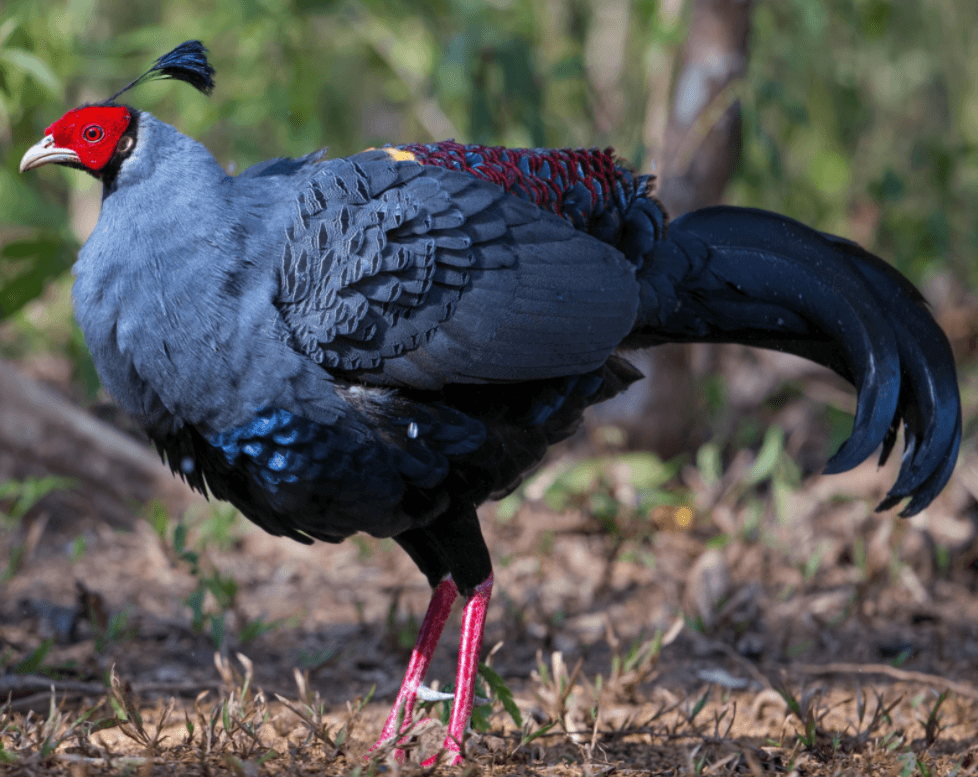 Решение рисунок 8