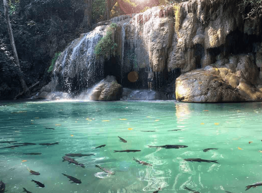 Решение рисунок 11