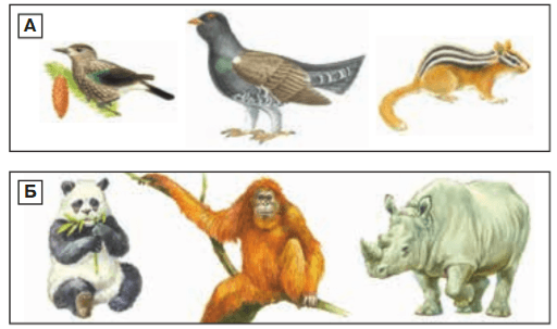 Задание рисунок 1