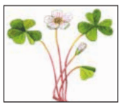 Задание рисунок 1