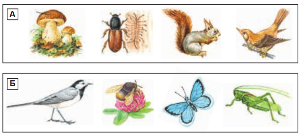 Задание рисунок 1