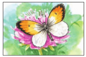 Задание рисунок 1