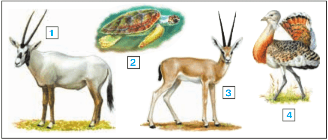 Задание рисунок 1