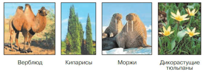 Задание рисунок 1