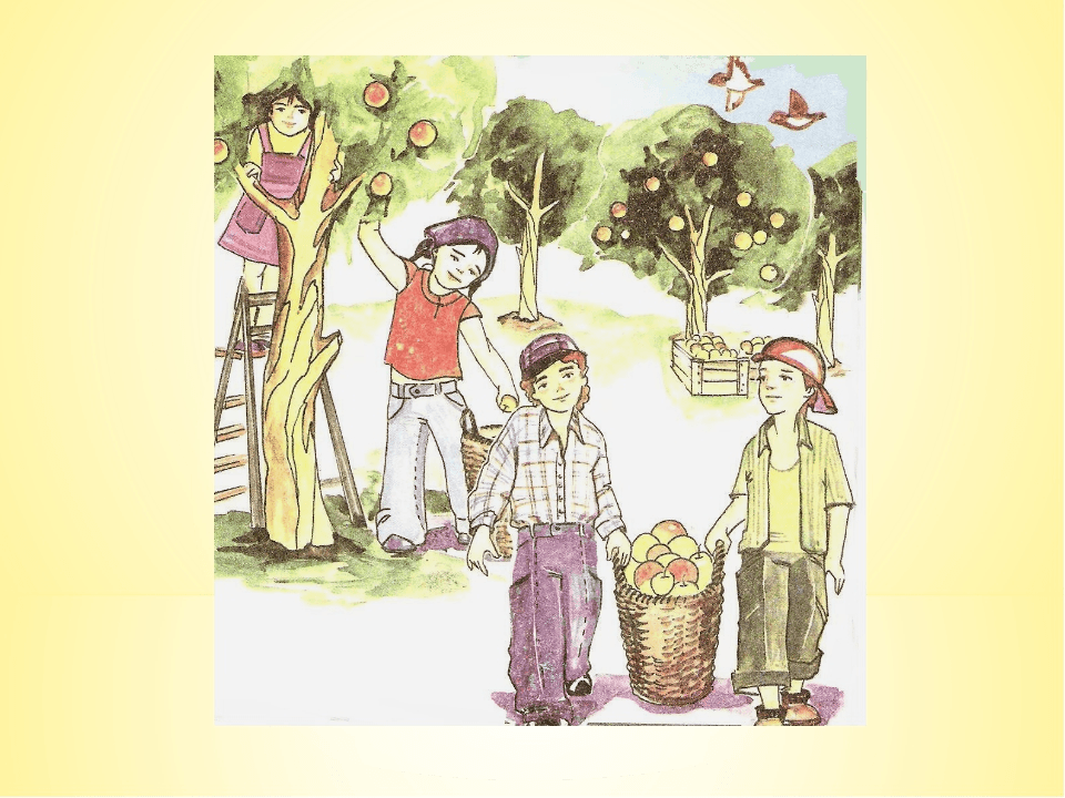 Решение рисунок 3