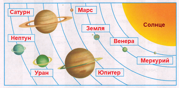 С помощью рисунка схемы в учебнике