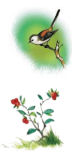 Задание рисунок 2