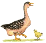 Задание рисунок 2