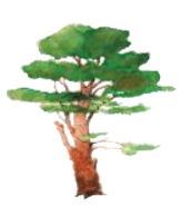 Задание рисунок 2